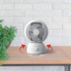Circulator & Desktop Fan